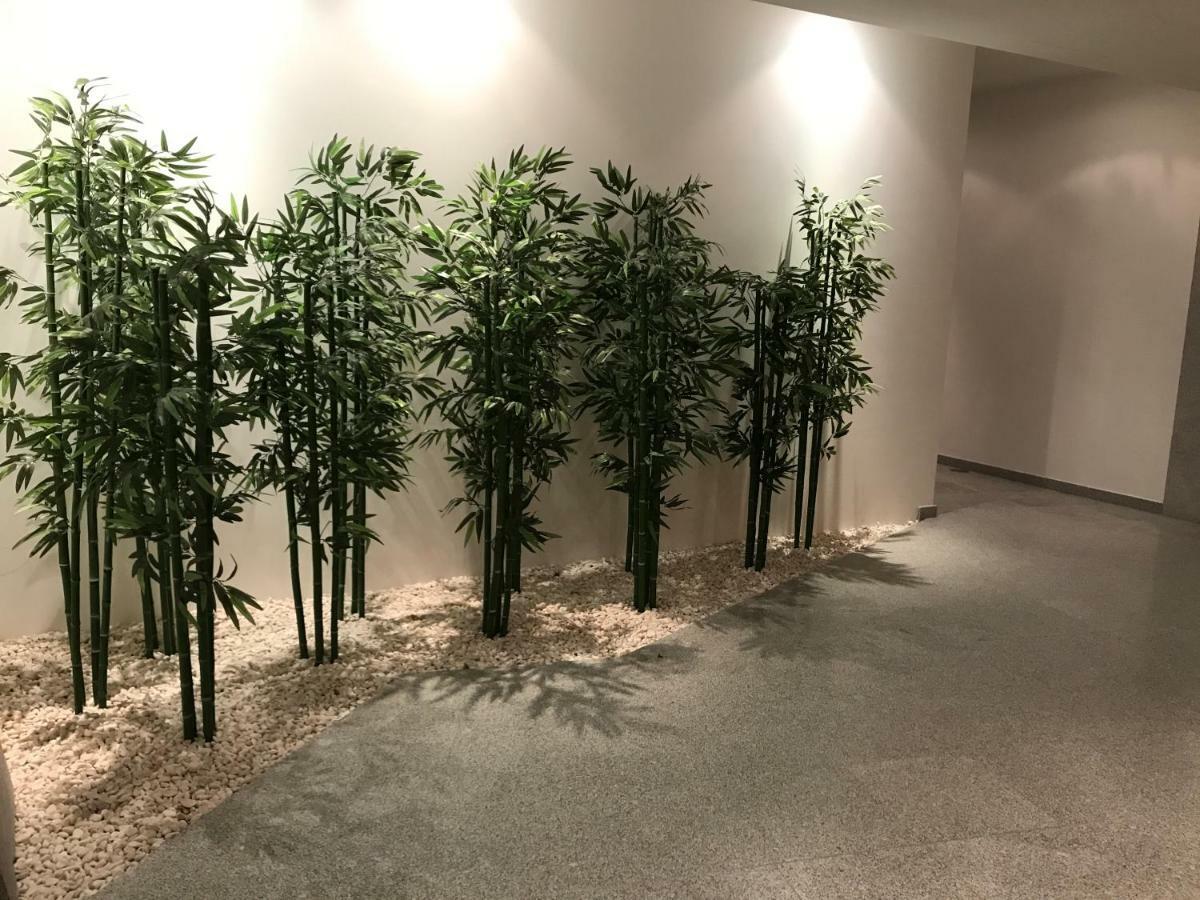 维拉·普拉亚·德·安科拉Trajadinha公寓 外观 照片
